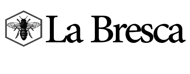 logo light
